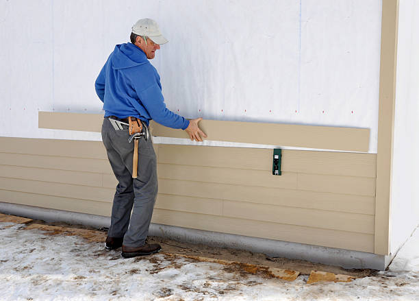 Best Stone Veneer Siding  in Pine Lawn, MO
